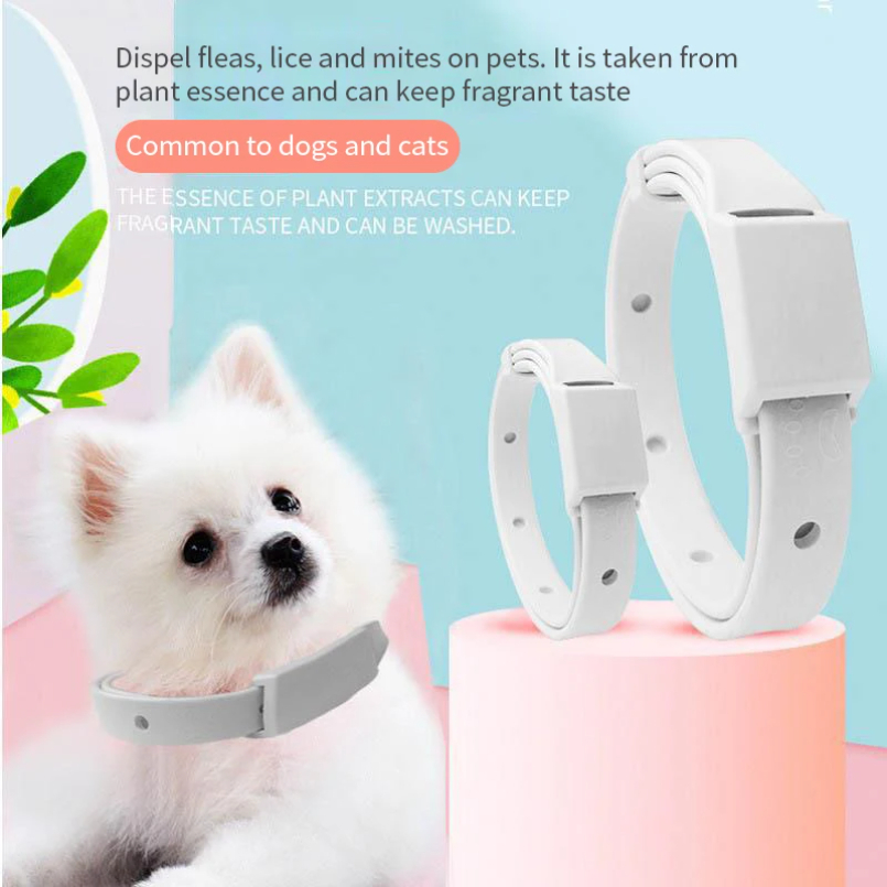 Obroża przeciwkrapli i kleszcz – Pet Immune Pir Sensor recenzja i cena