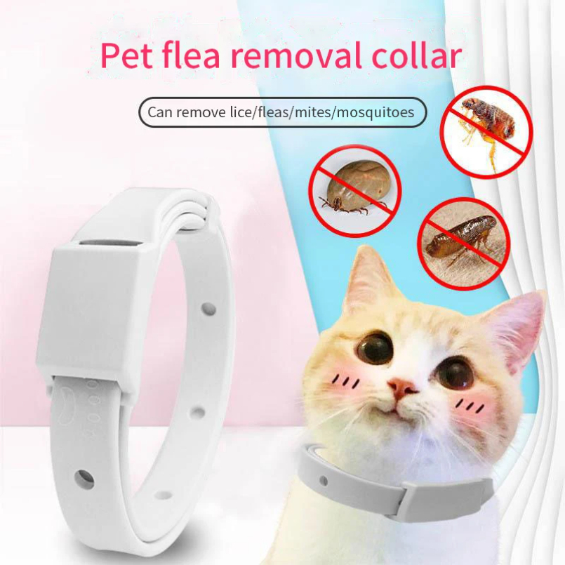 Obroża przeciwkrapli i kleszcz – Pet Immune Pir Sensor recenzja i cena