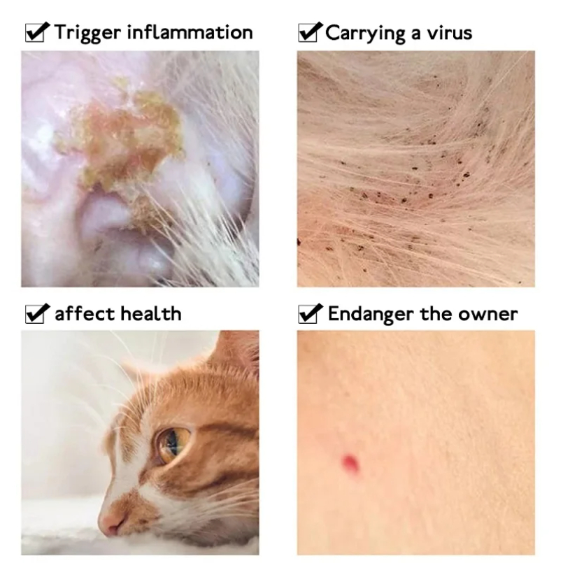 Obroża przeciwkrapli i kleszcz – Pet Immune Pir Sensor recenzja i cena